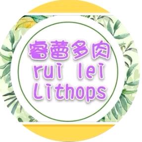 睿蕾多肉