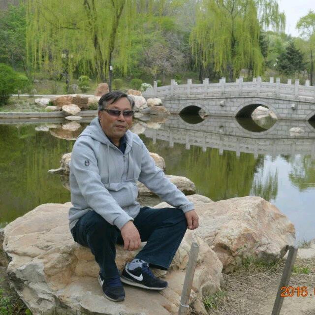 达乌代
