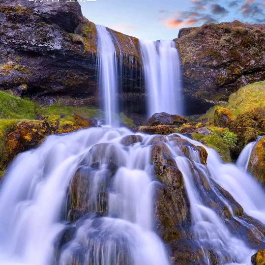 (｡>∀<｡)文暖四季(=^▽^=)