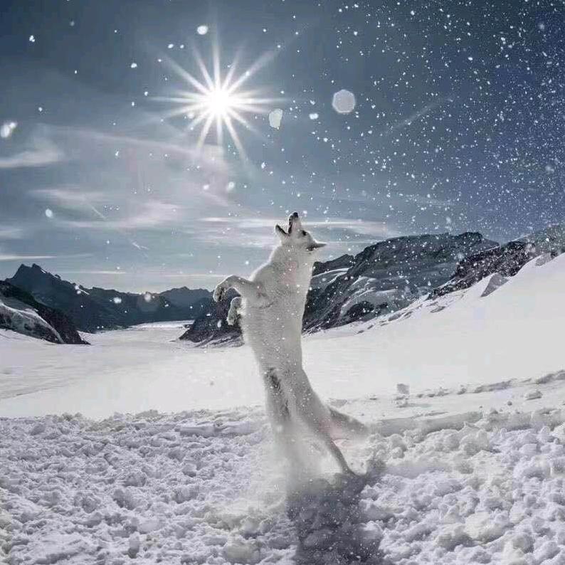 水晶科技