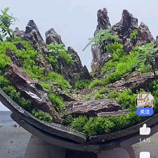 怀宁东哥