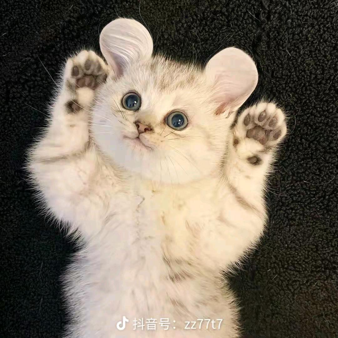 请叫我小万
