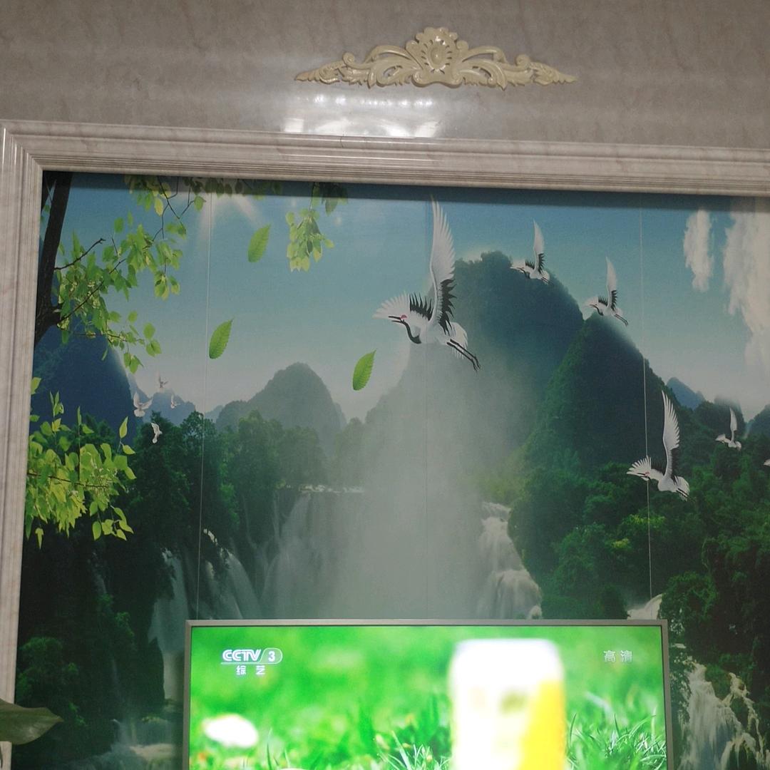 随遇而安