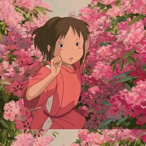 小千的秘密橱窗