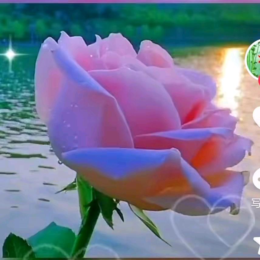 心静如水，沉默是金。