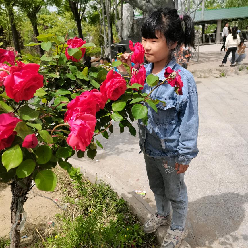 ღ᭄༊淡然ღ᭄༊⁵²º᭄：