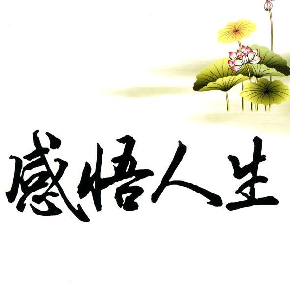感悟人生