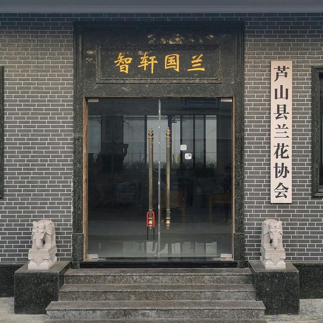 智轩国兰