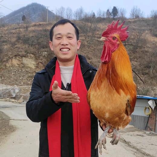 南山家庭农场