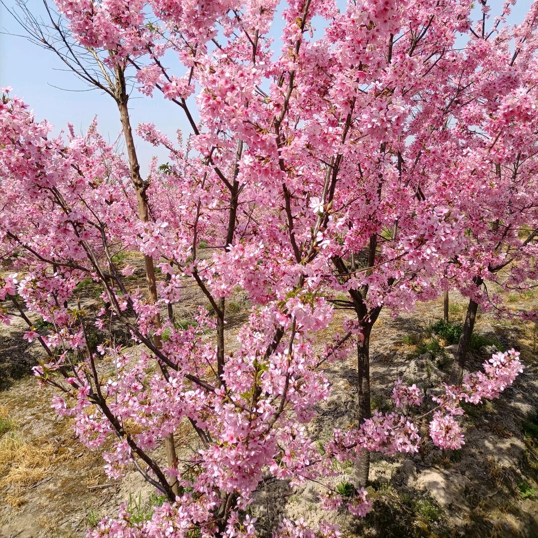 尽心