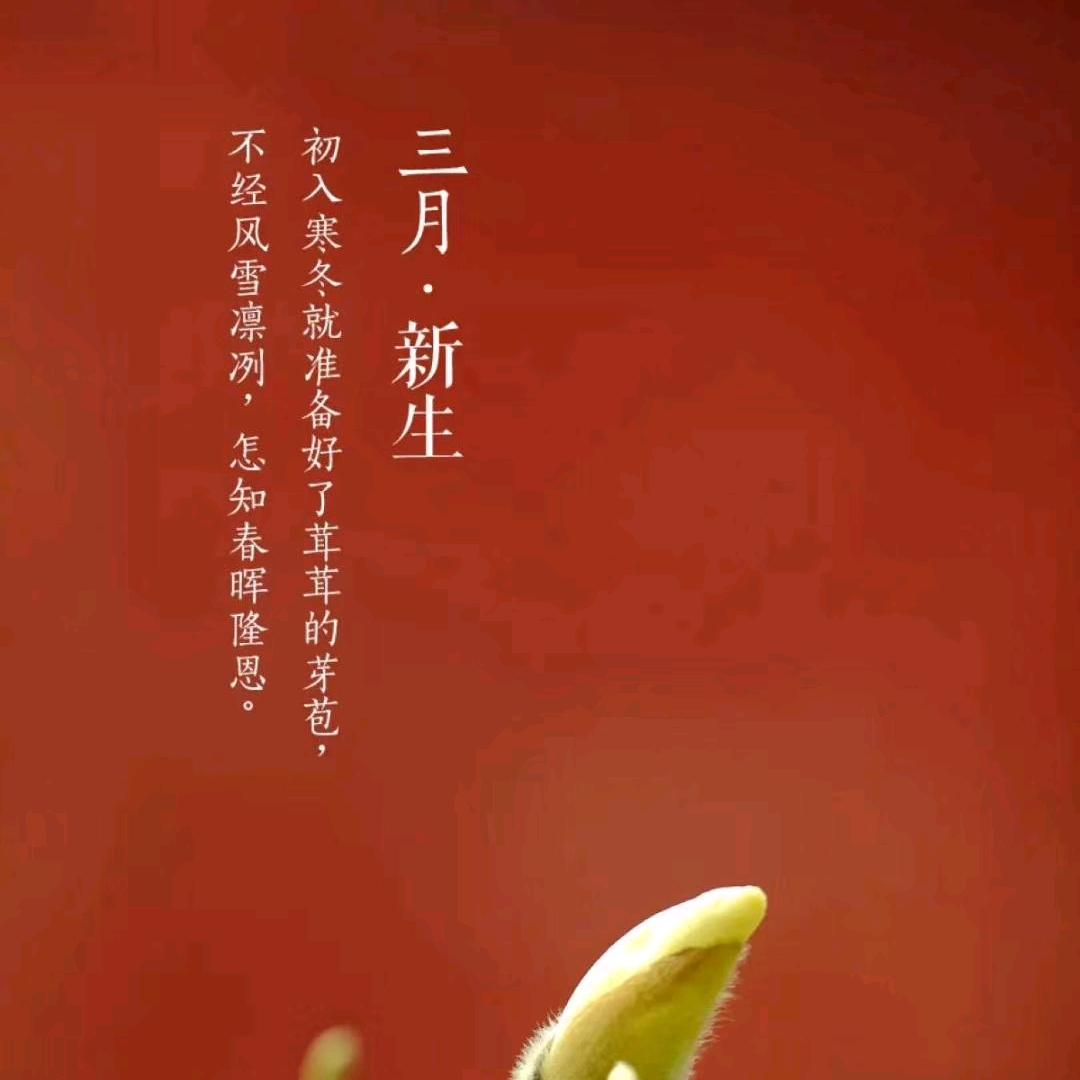 柳暗花明