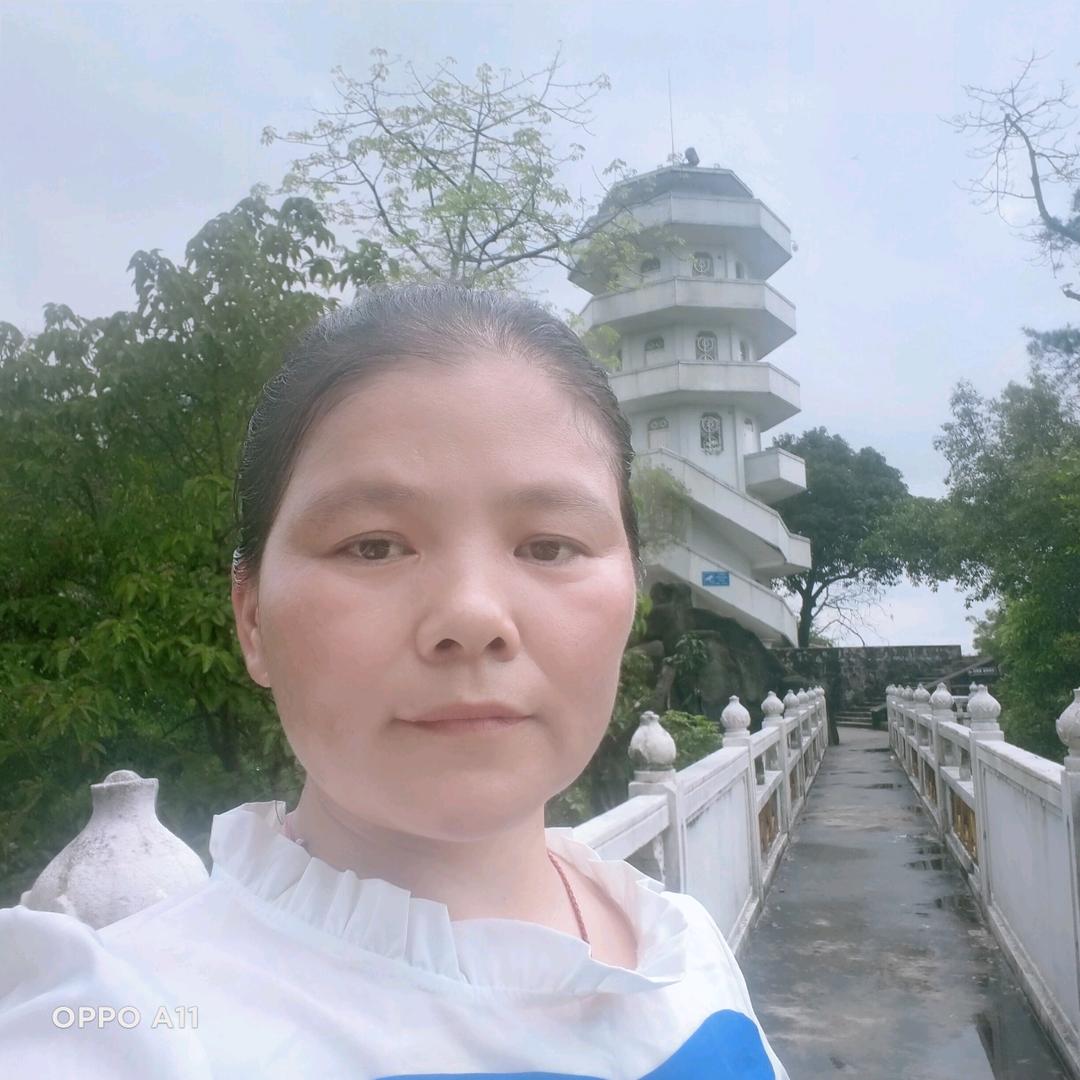 湖南燕儿