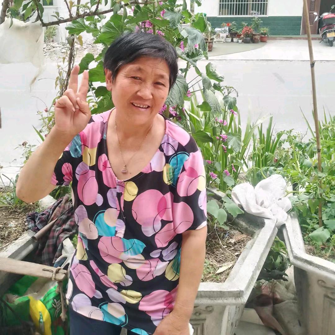 朱姐