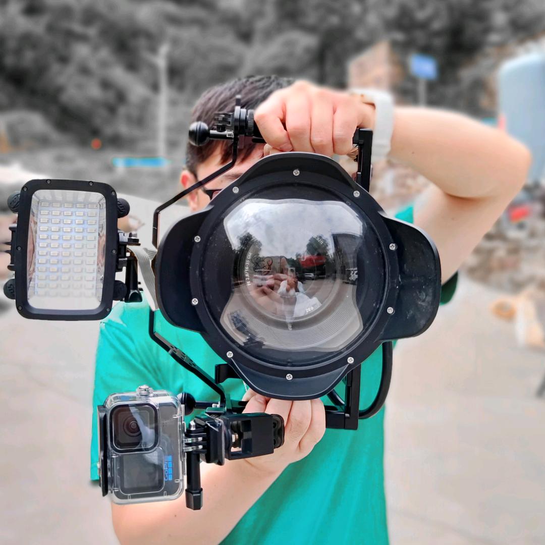 紫色蝙蝠（安阳深蓝潜水社）