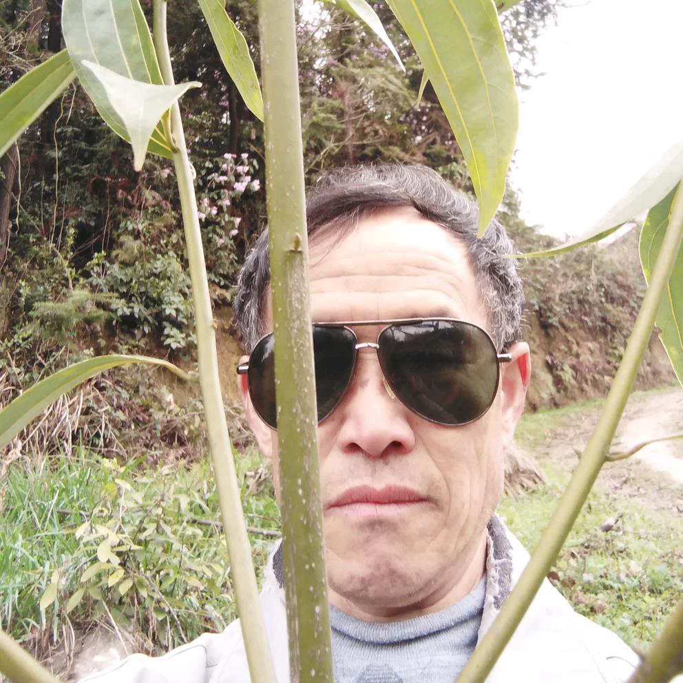 草头黄