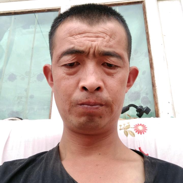 贾兵兵