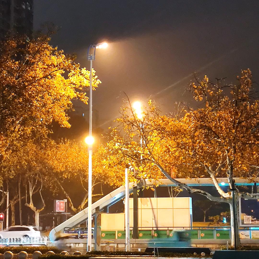 大聪明的技术宅子