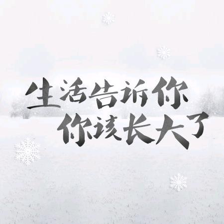 目录伦