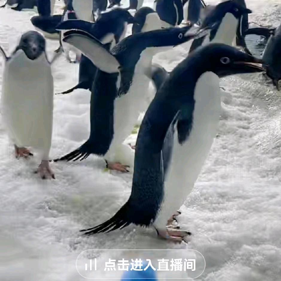 山湖