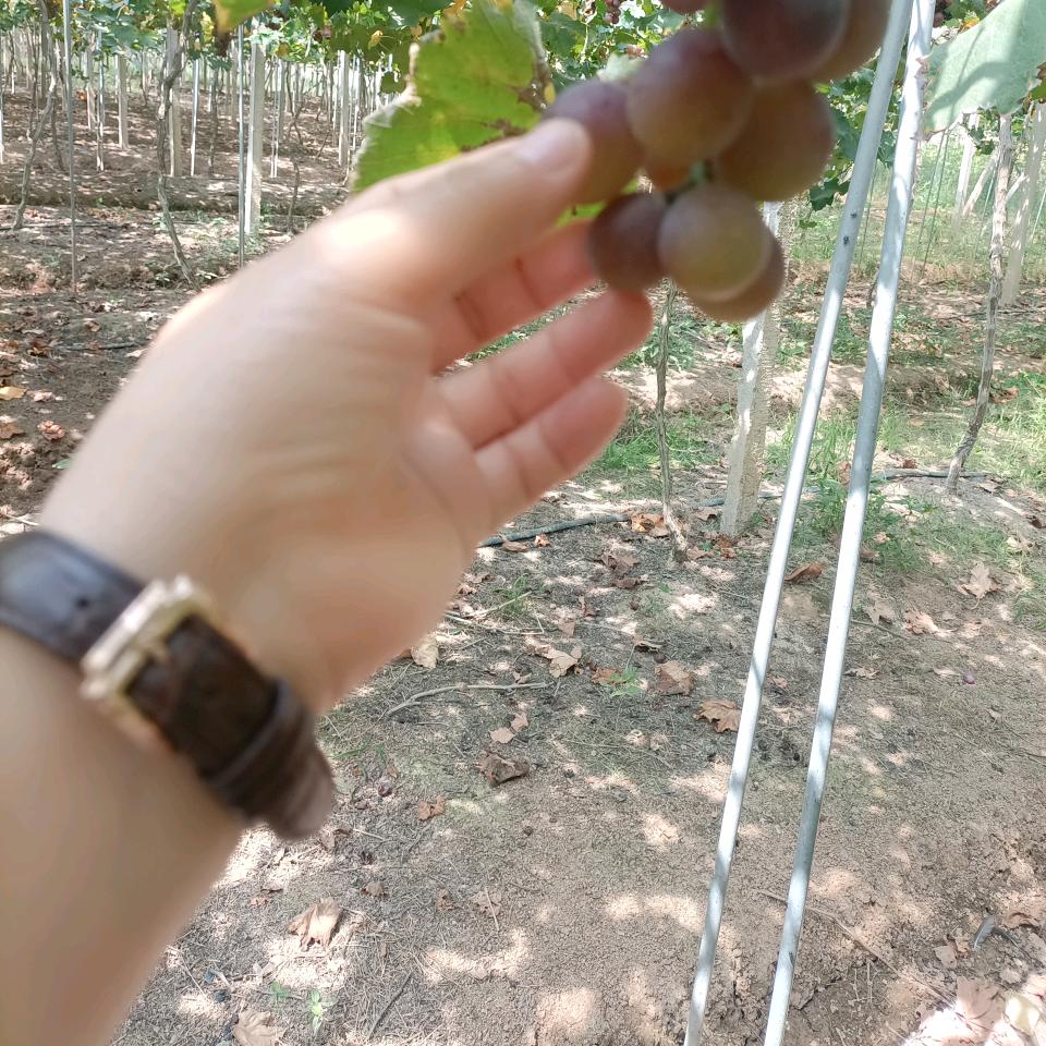 余生很贵❤请好好珍惜