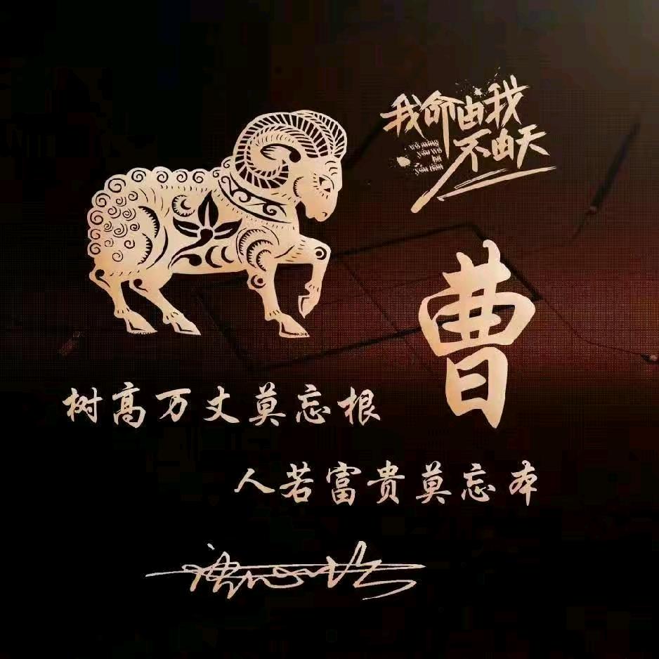 洛阳小曹外墙装饰