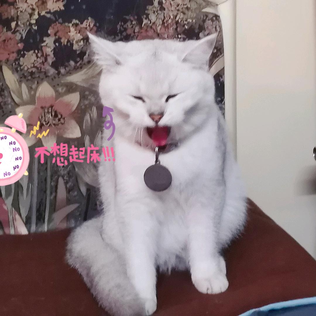 酸菜头像