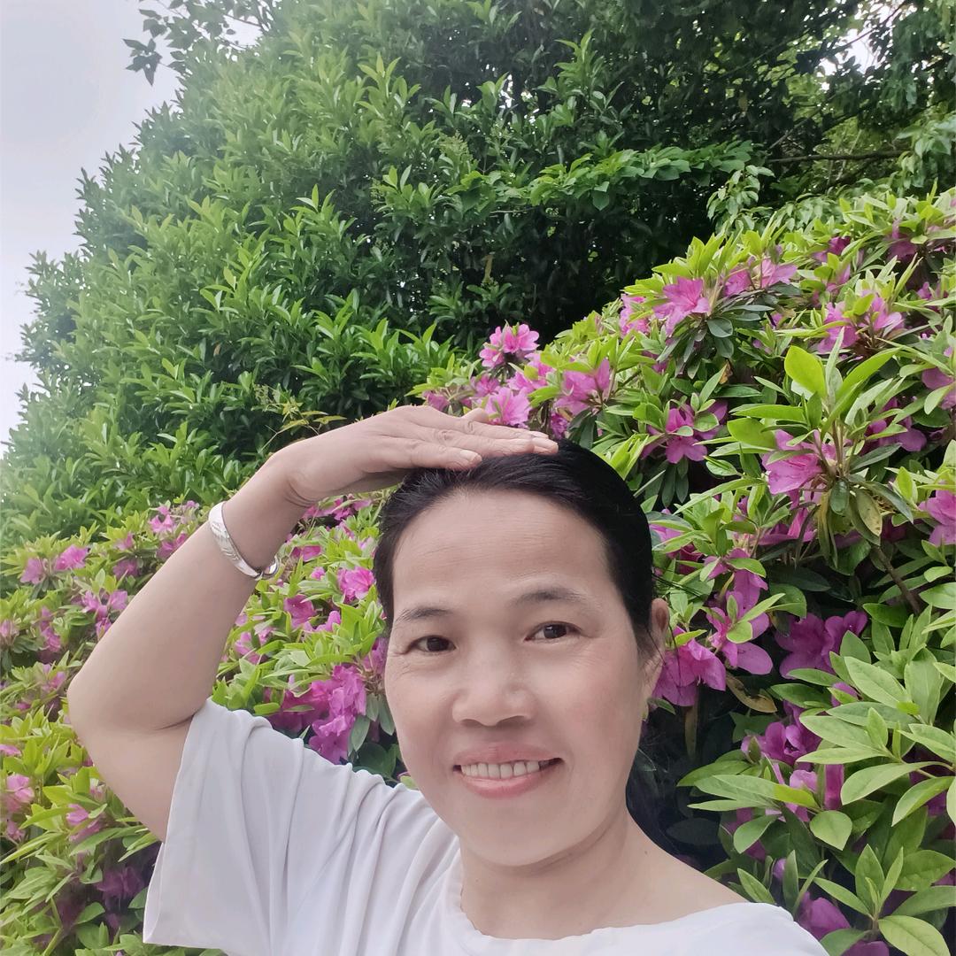 蜻蜓_1803941