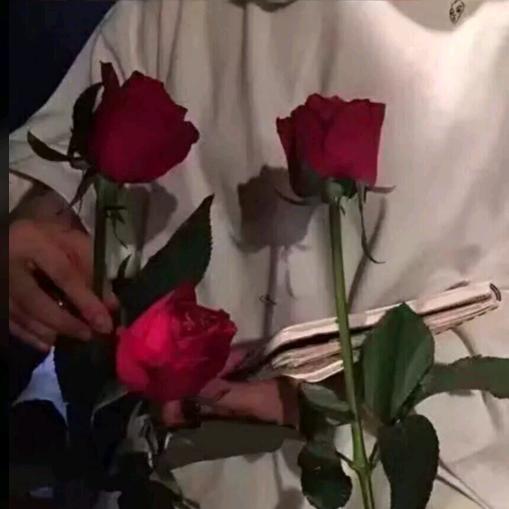 故事总会烂尾