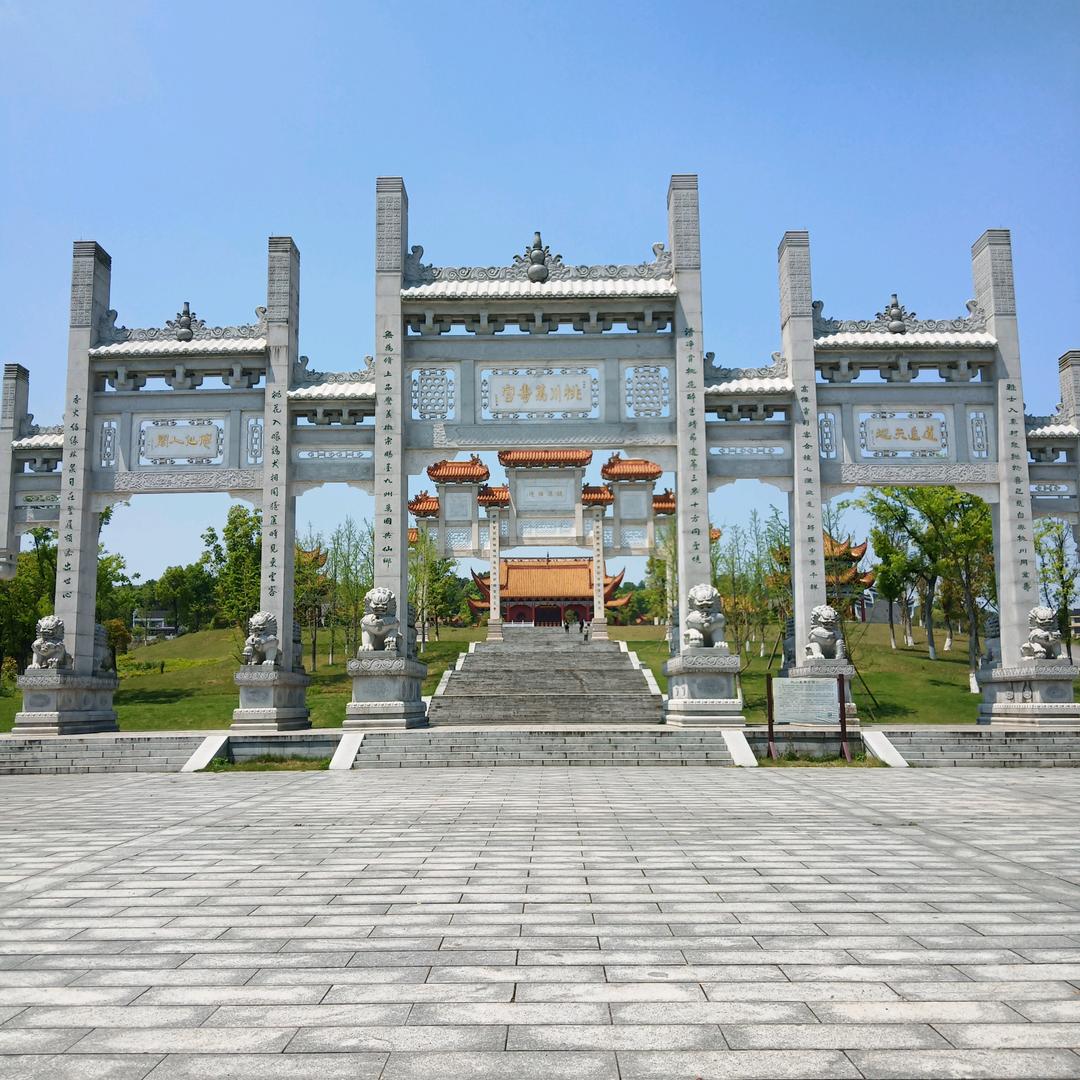 毛哥