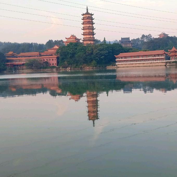 学飞的小白