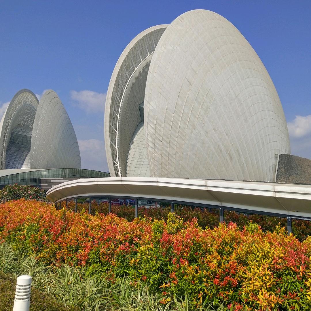 ⭐️ 念念星辰🇨🇳⭐️