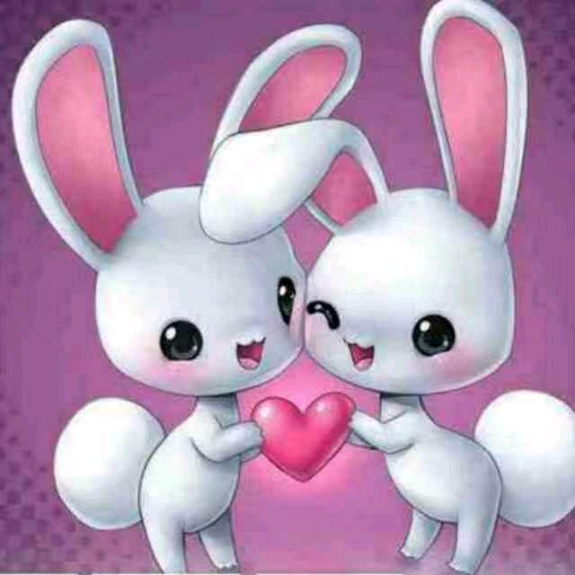 兔🐰