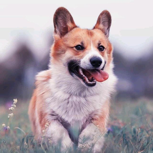 和美