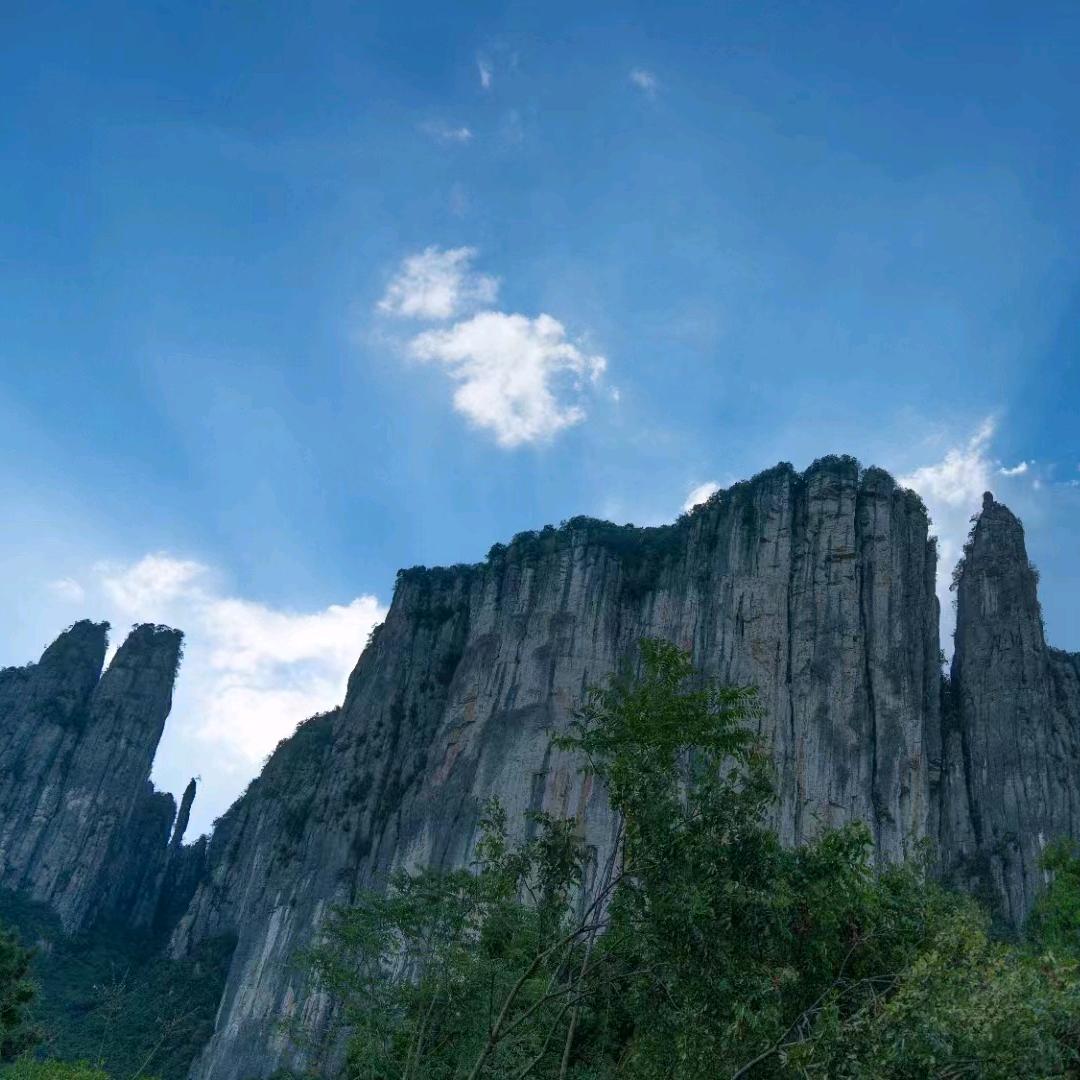 李大宝