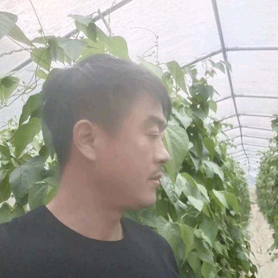 记忆中……