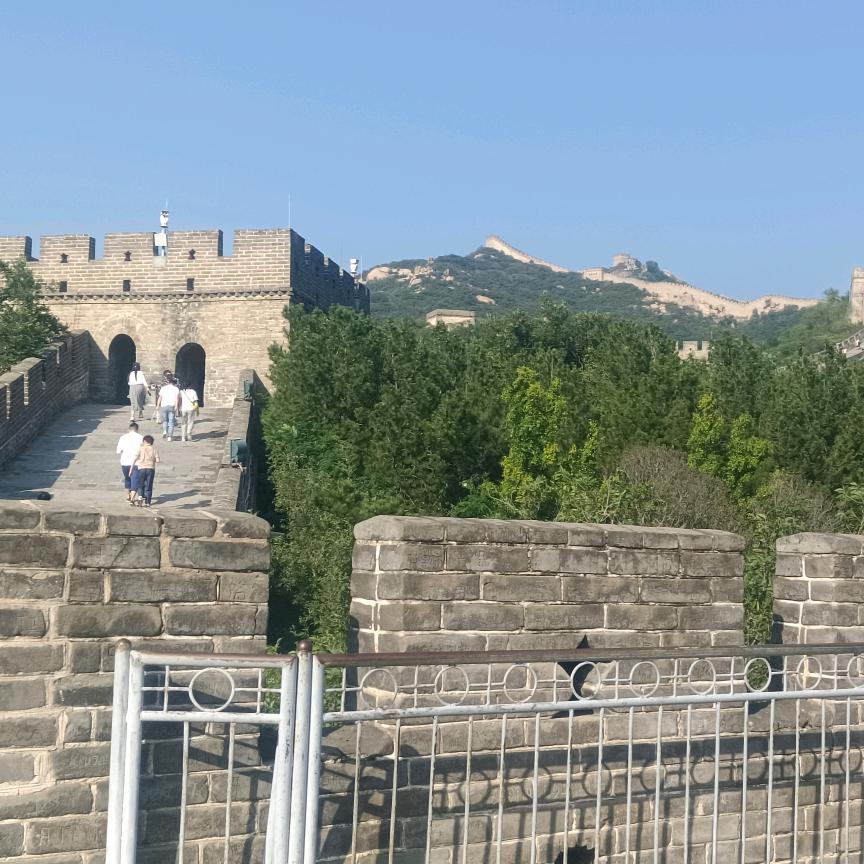 南山以南不再蓝