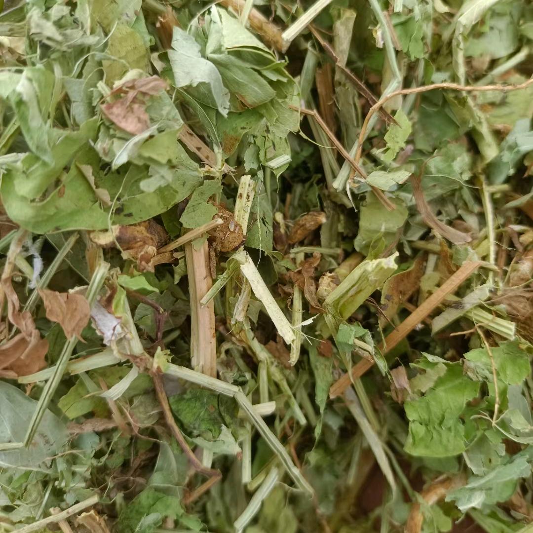 海燕牛羊草料