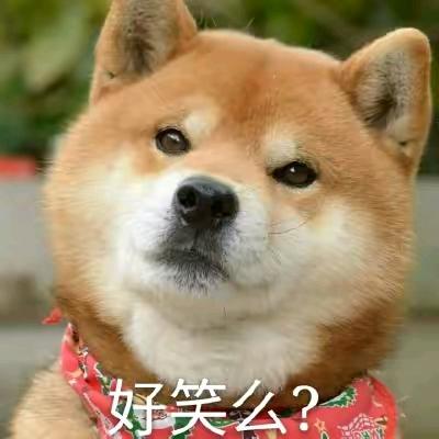 欧小仔