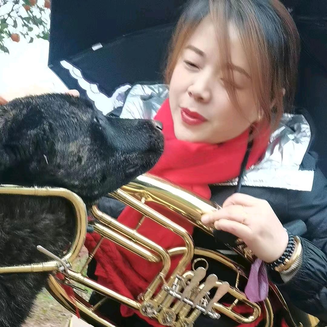 🎺莲花乐队🎺（妮子）