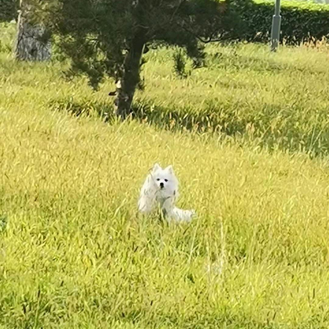 幸福的唯美