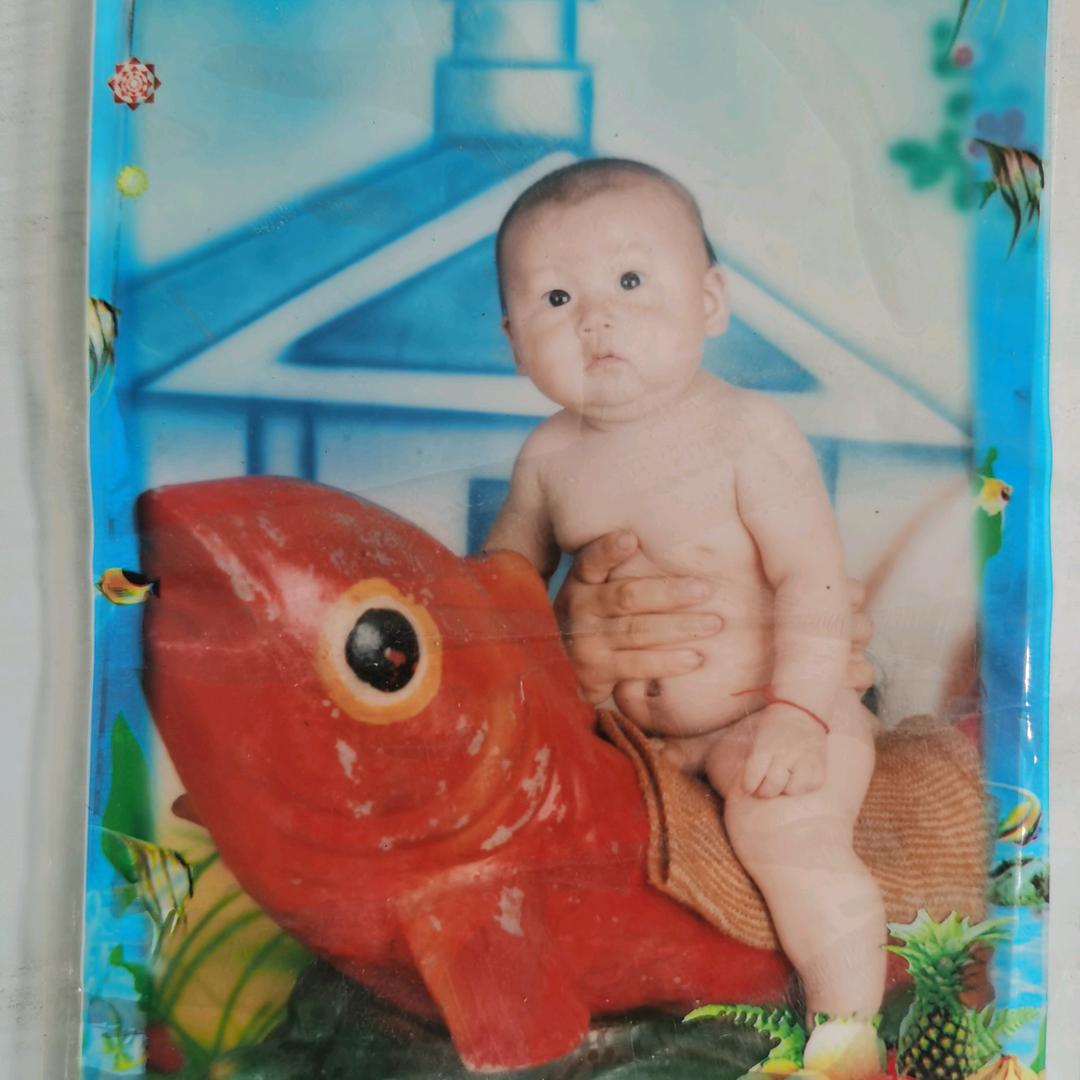 红砖运输