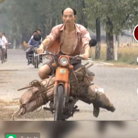 我们生产队里神似刘德华形似周润发的哥是我