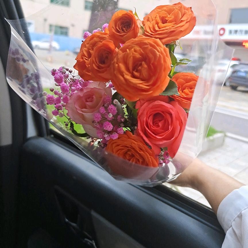 💋᭄吥悳๊i꧔ꦿ᭄