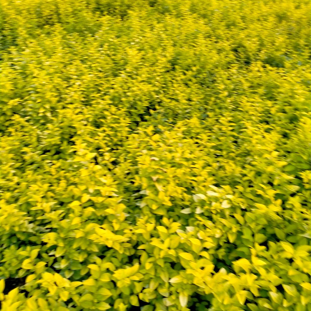 用户8511313106589天玥天,