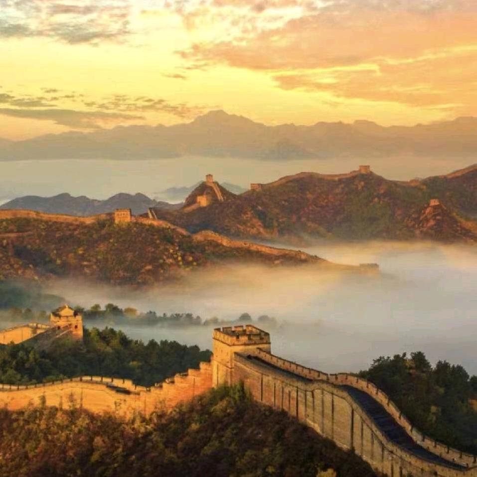 夏杨  密泓和泰