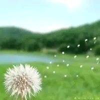 叮咚～～