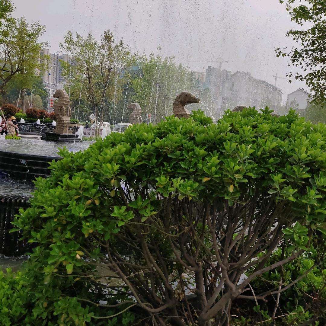 无情哈啦少