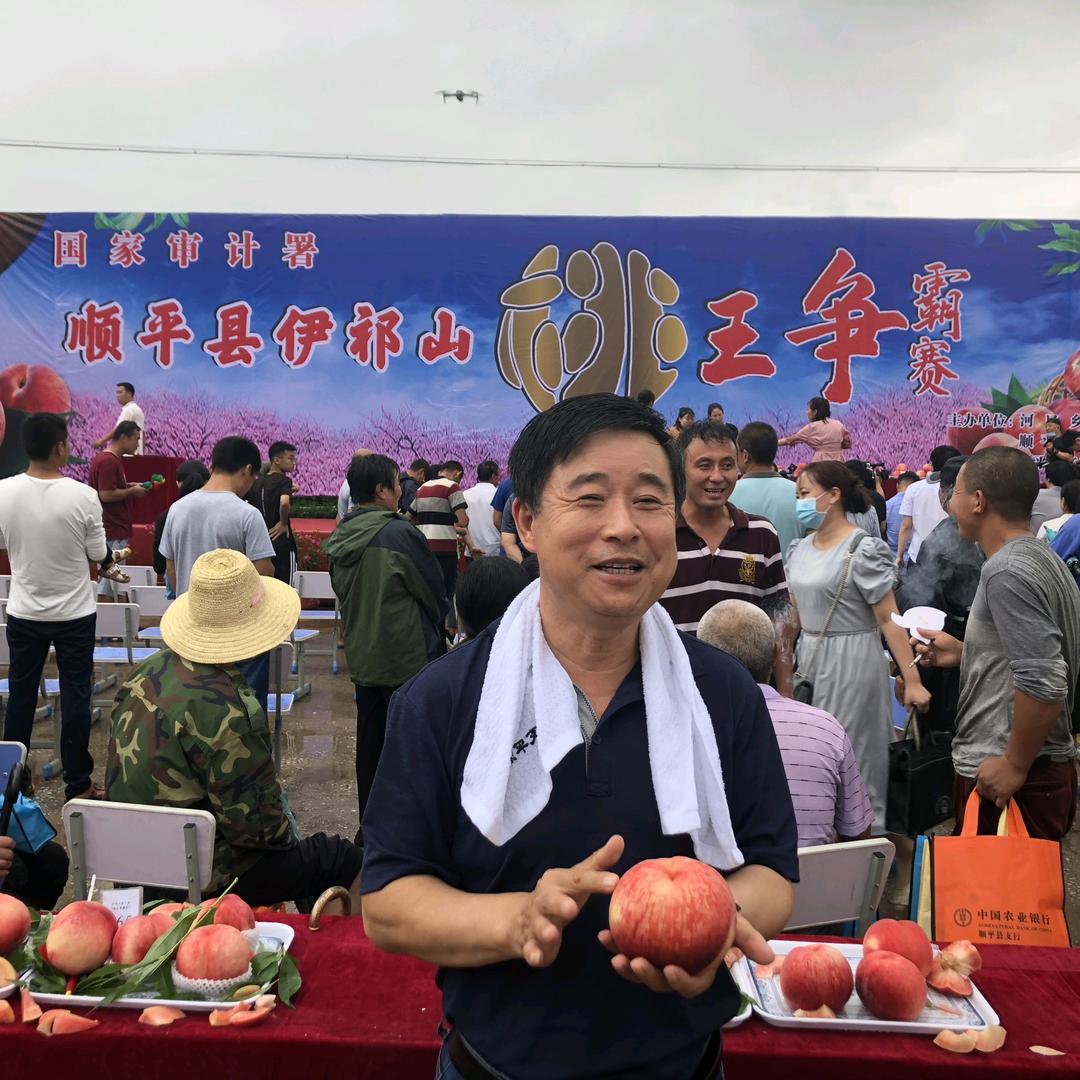 十八兆—枭桃陈述