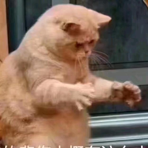 😍国宝😍大哥哥