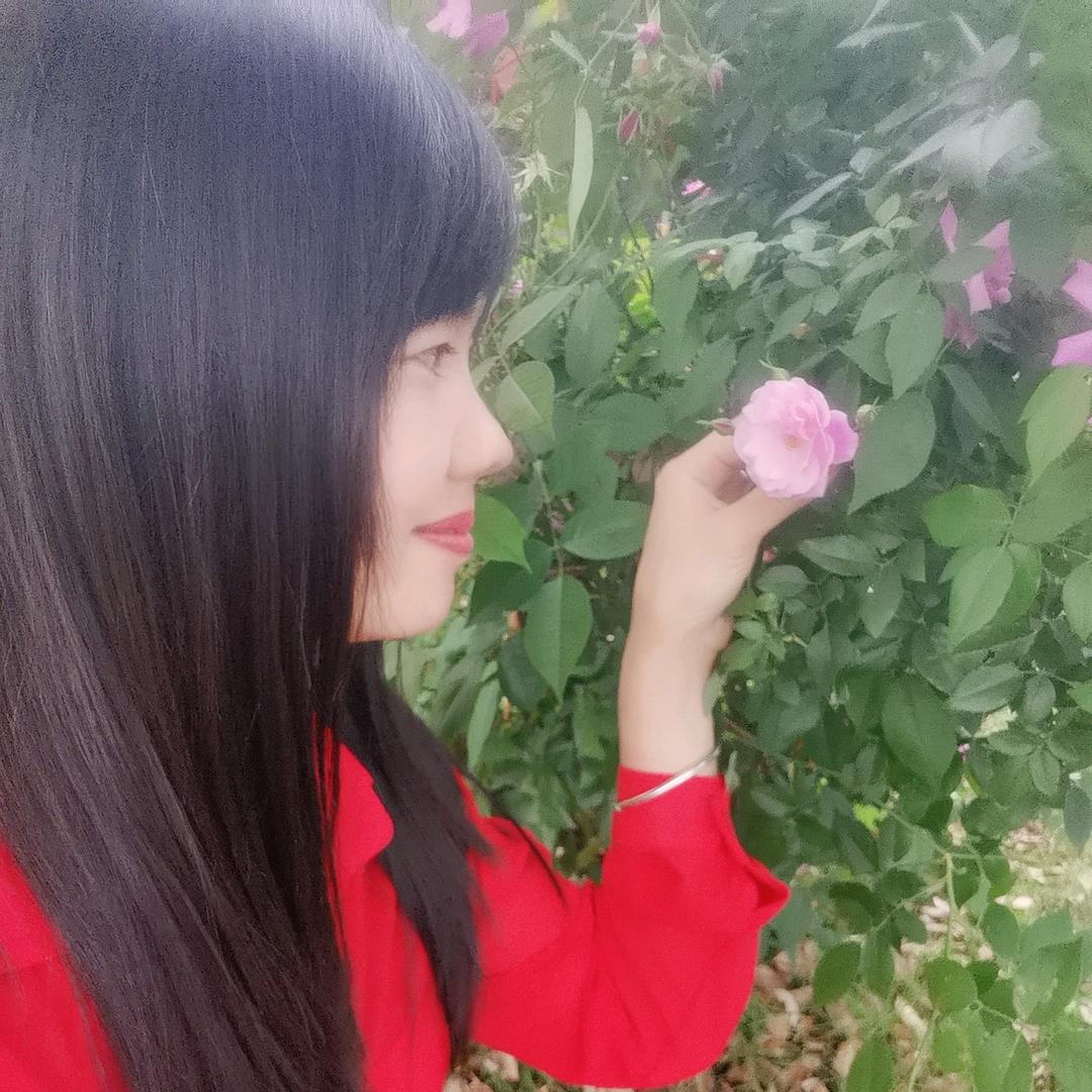 明天会更好🍂 🍃 🍃 🍂 🍁